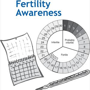 Digital Ovulation Prediction Kits - Diet For Fertility - The Importance Of What You Eat