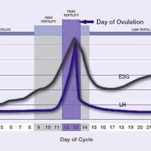 Fertility Women Diet - Do You Need Help Getting Pregnant? Warning - Vitamin B6 Facts Tell All!